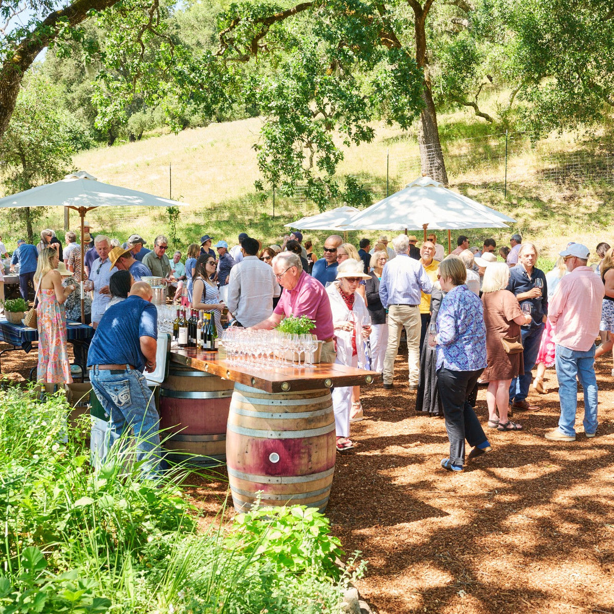 Alexander Valley Exclusive Tasting