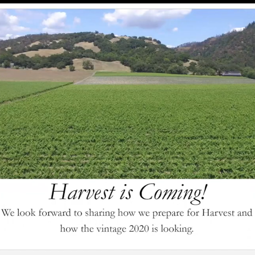 Harvest Zoom