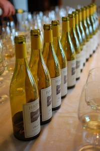 We taste 8 vintages of our Chardonnay from Sonoma County to see how they are developing.
