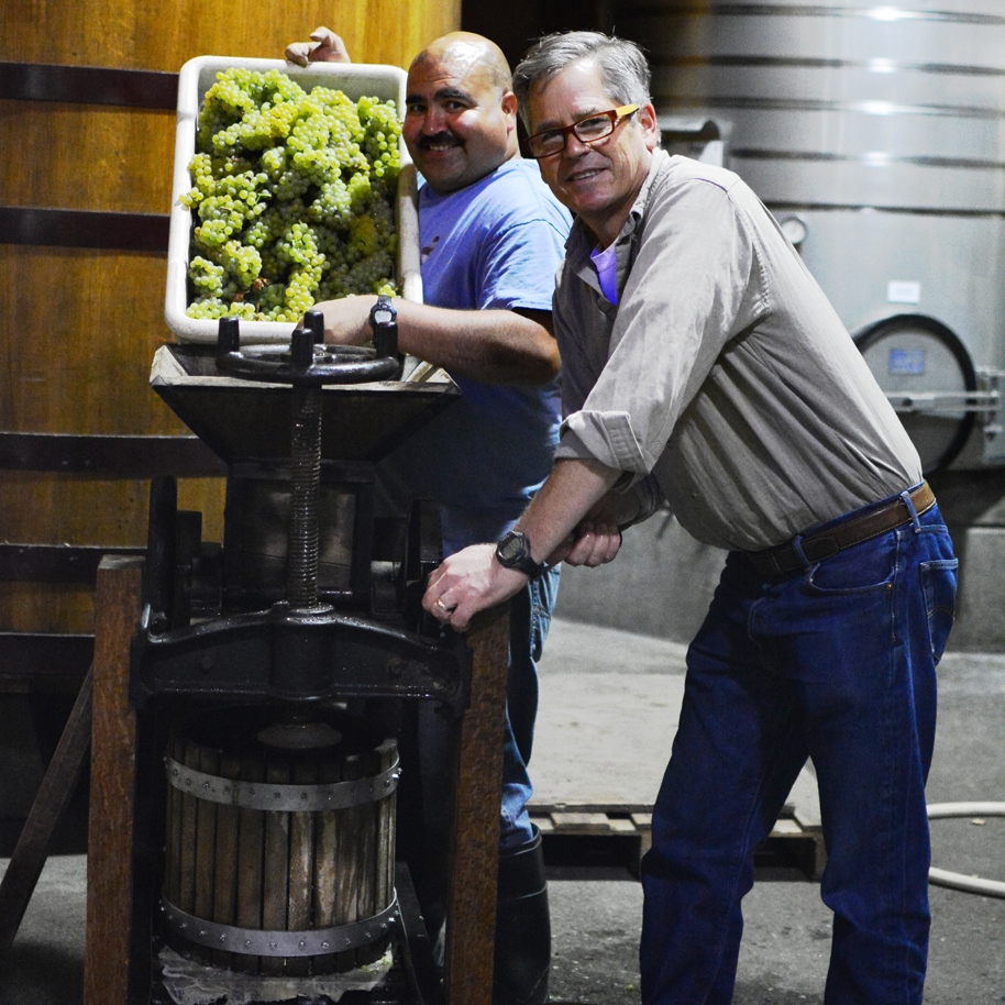 Harvest 2016 at Hafner Vineyard