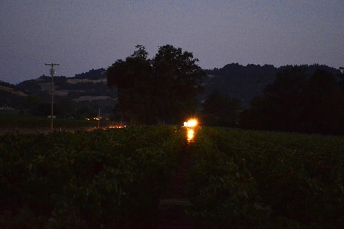 Machine Harvester at Night