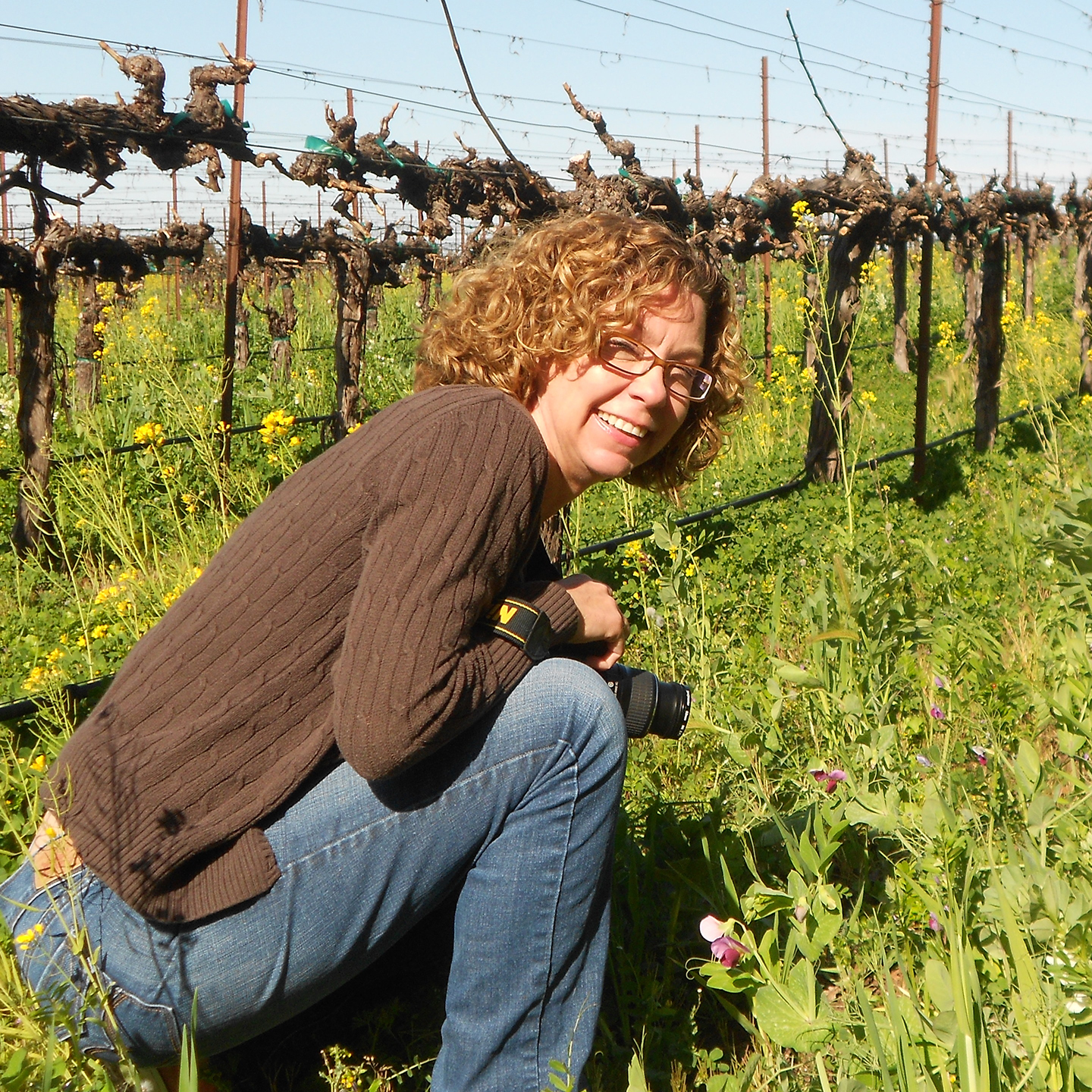 Sandy in the Vineyard