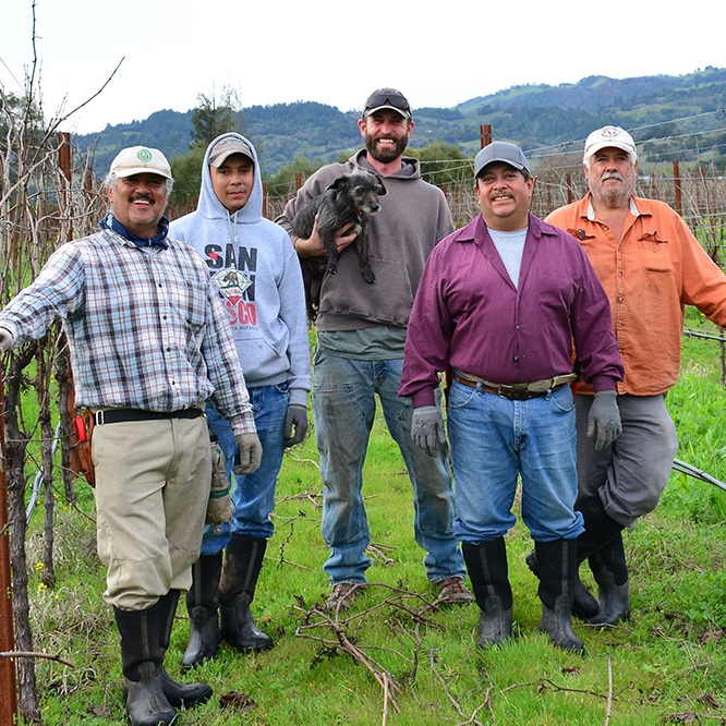 Vineyard Team