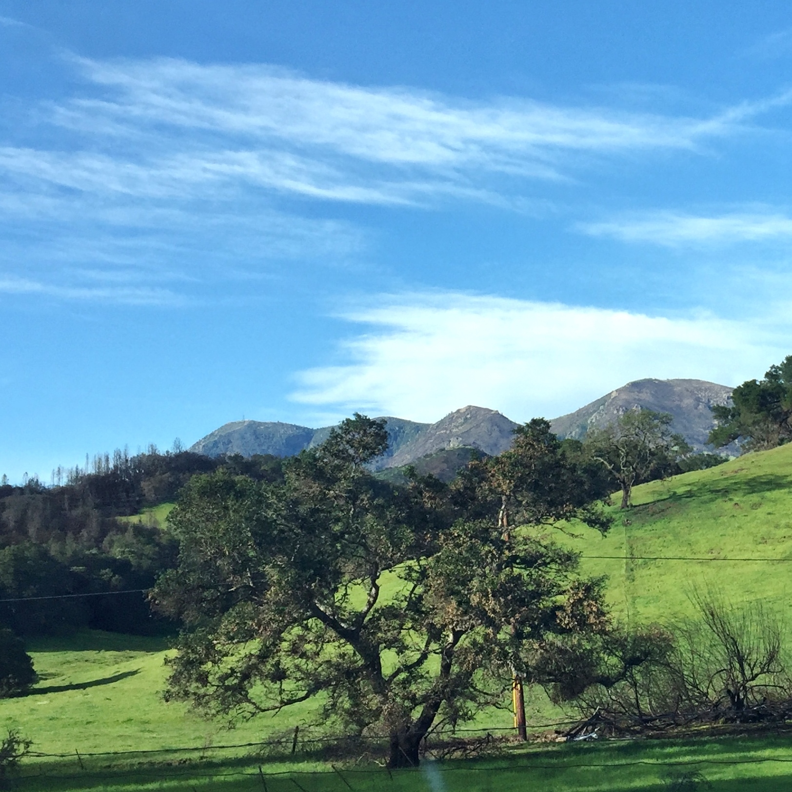 Tubbs Fire Recovery