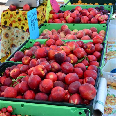Fruit at Santa Rosa Farmers Market