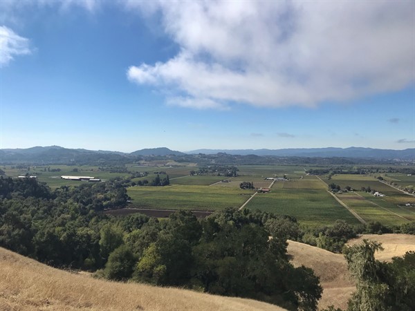 View of Alexander Valley