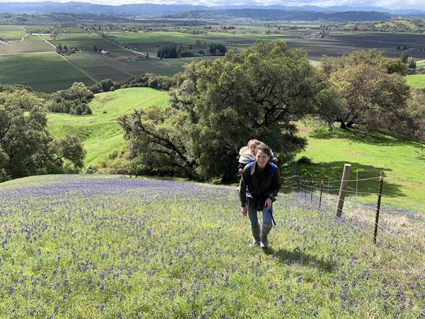 Hiking in Alexander Valley