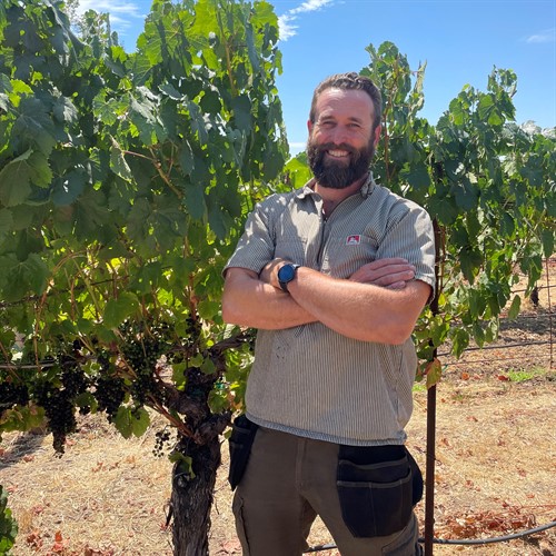 David Huebel at Hafner Vineyard