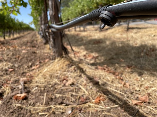 Irrigation at Hafner