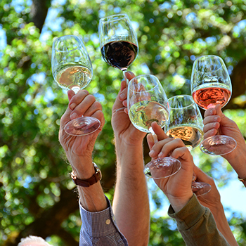 Annual Tasting Program