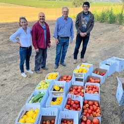 Food Pantry Garden