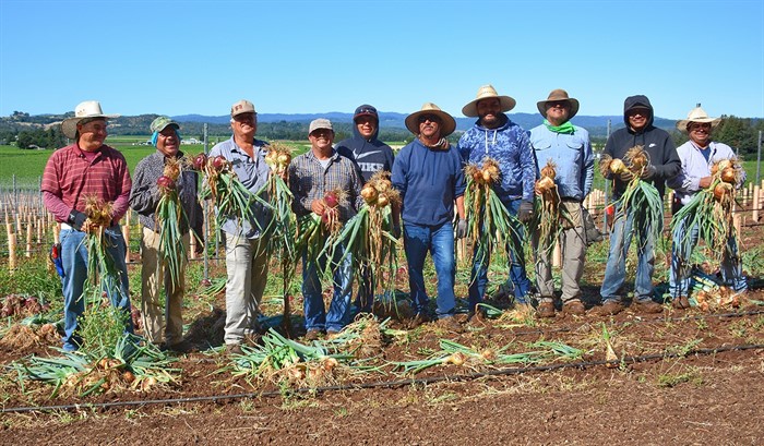 Vineyard Team at Garden