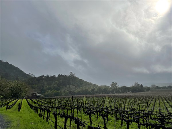 Hafner Vineyard in Healdsburg