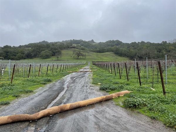 Rain in Alexander Valley