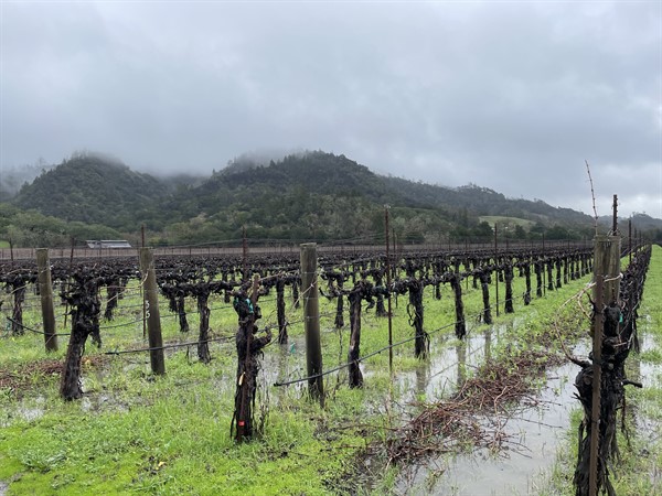 Hafner Vineyard Rain