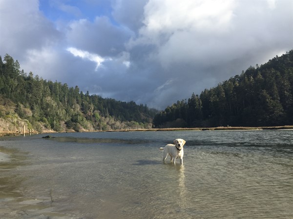 Big River Mendocino