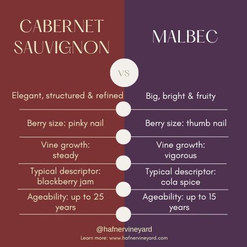 Cabernet vs Malbec