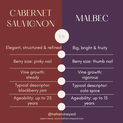Cabernet vs Malbec