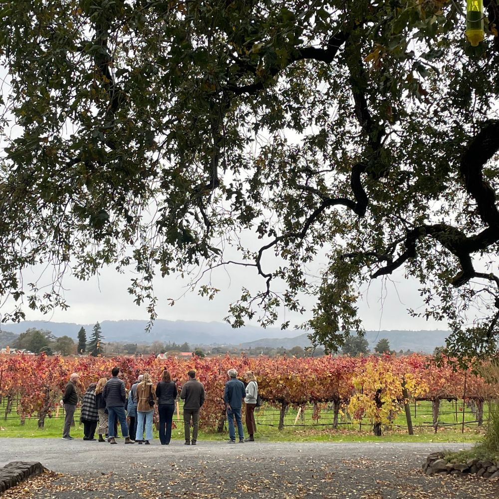 Visit Hafner near Healdsburg