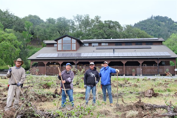 Replant at Hafner