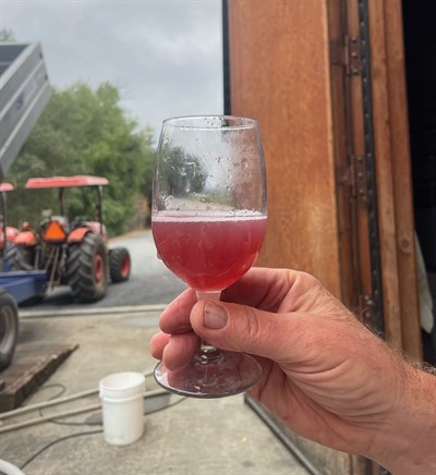 Rose Juice