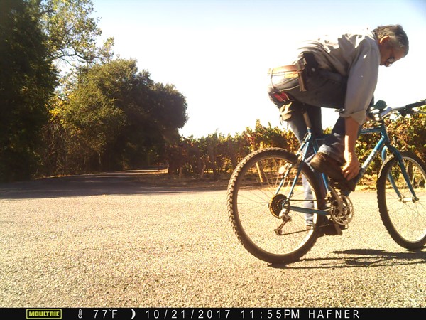 Parke Bike
