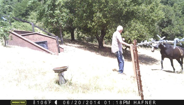 Grandfather and Cody