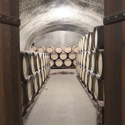 Caves