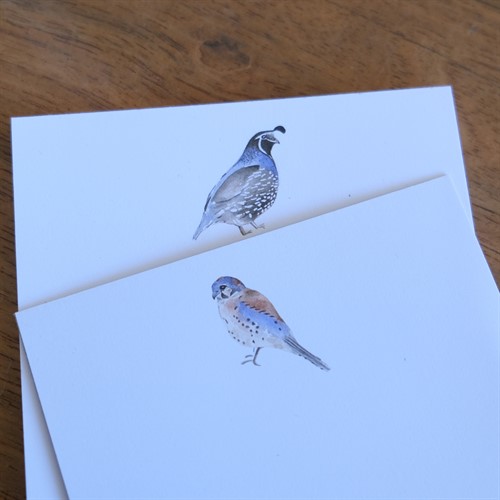 Notepads