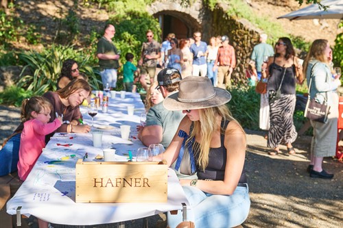 Hafner Next Gen 31