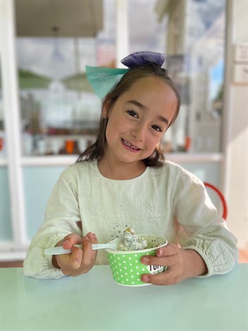 Ice Cream