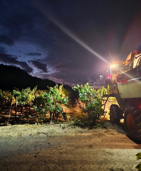 Night Harvesting