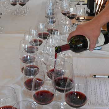 Cabernet Sauvignon