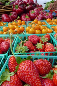 Fresh Produce from the Farmers' Market in Healdsburg, Sonoma County. Bernier Farmstand.