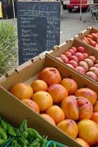 Tomatoes from the Farmers' Market in Healdsburg, Sonoma County. Foggy River Farmstand.