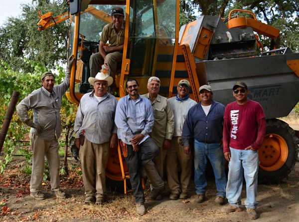 Hafner Vineyard Harvest Team on the First Day of Picking.