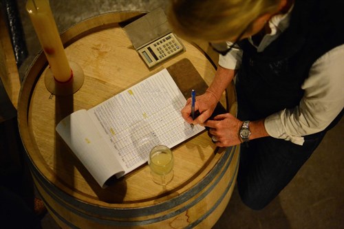 Chardonnay fermentation notes in the wine caves at Hafner Vineyard.
