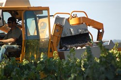 David Huebel Harvesting