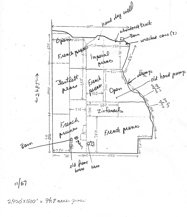 Old Vineyard Map