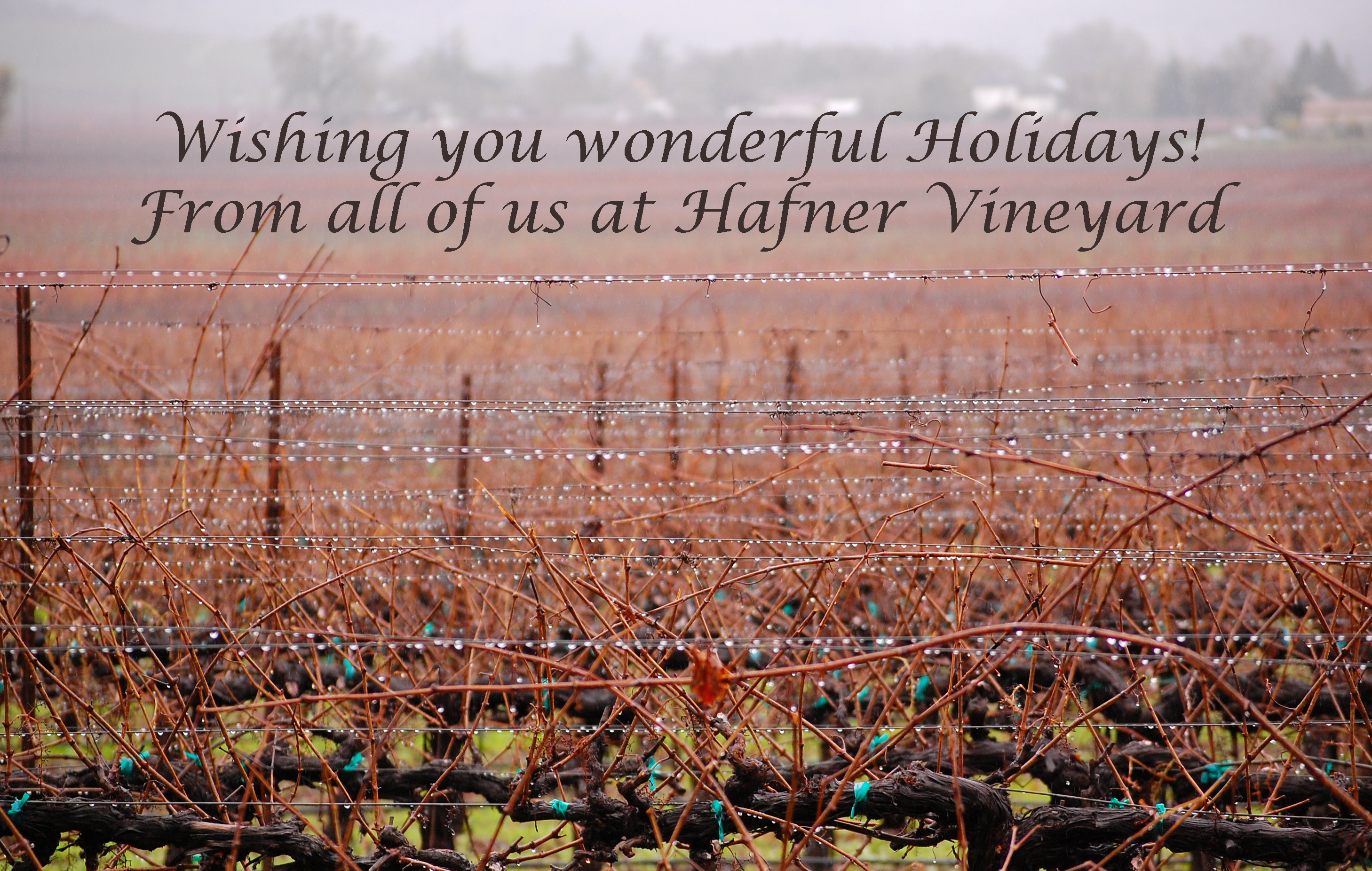 Wishing You Wonderful Holidays