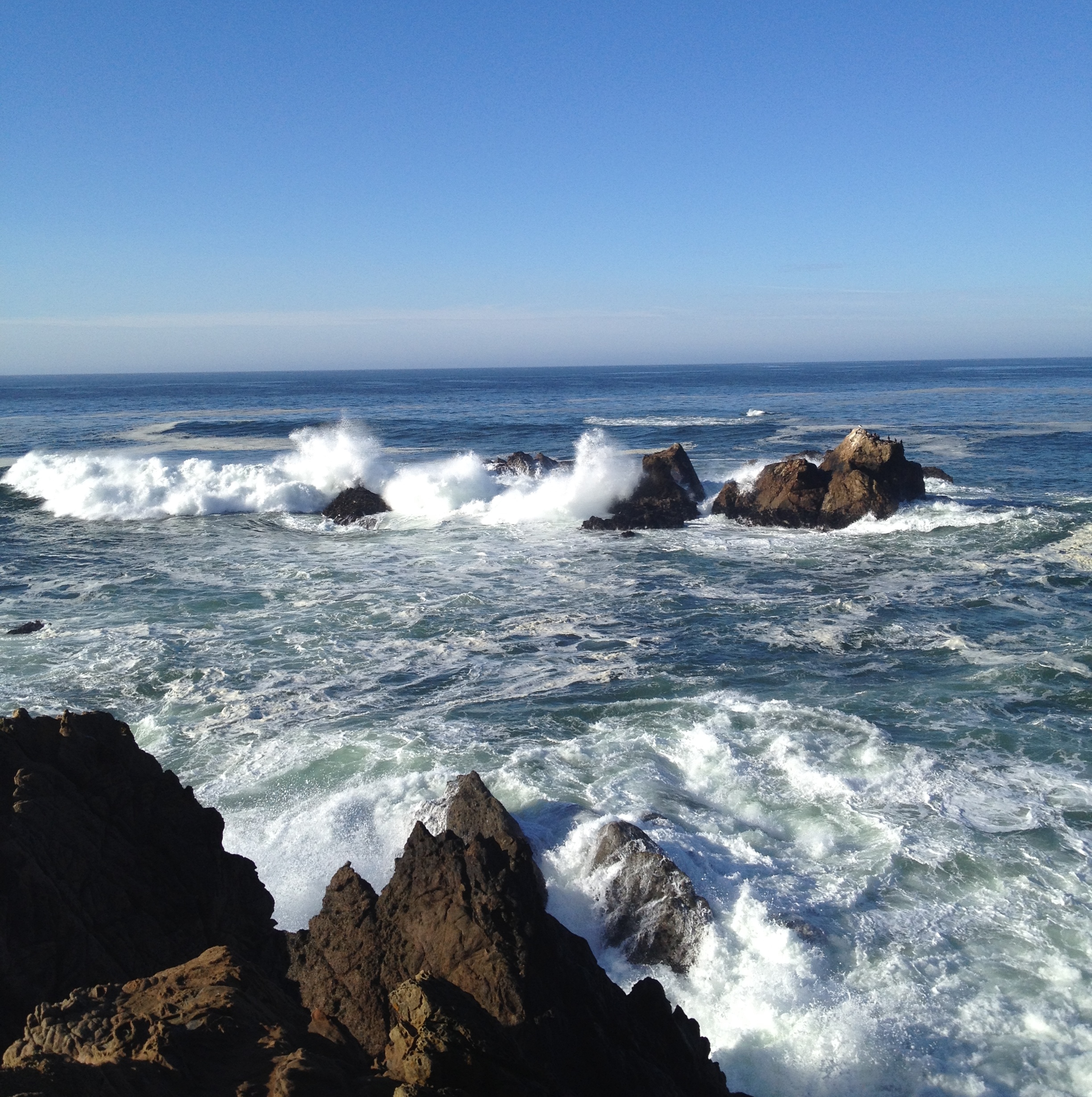 Sonoma Coast