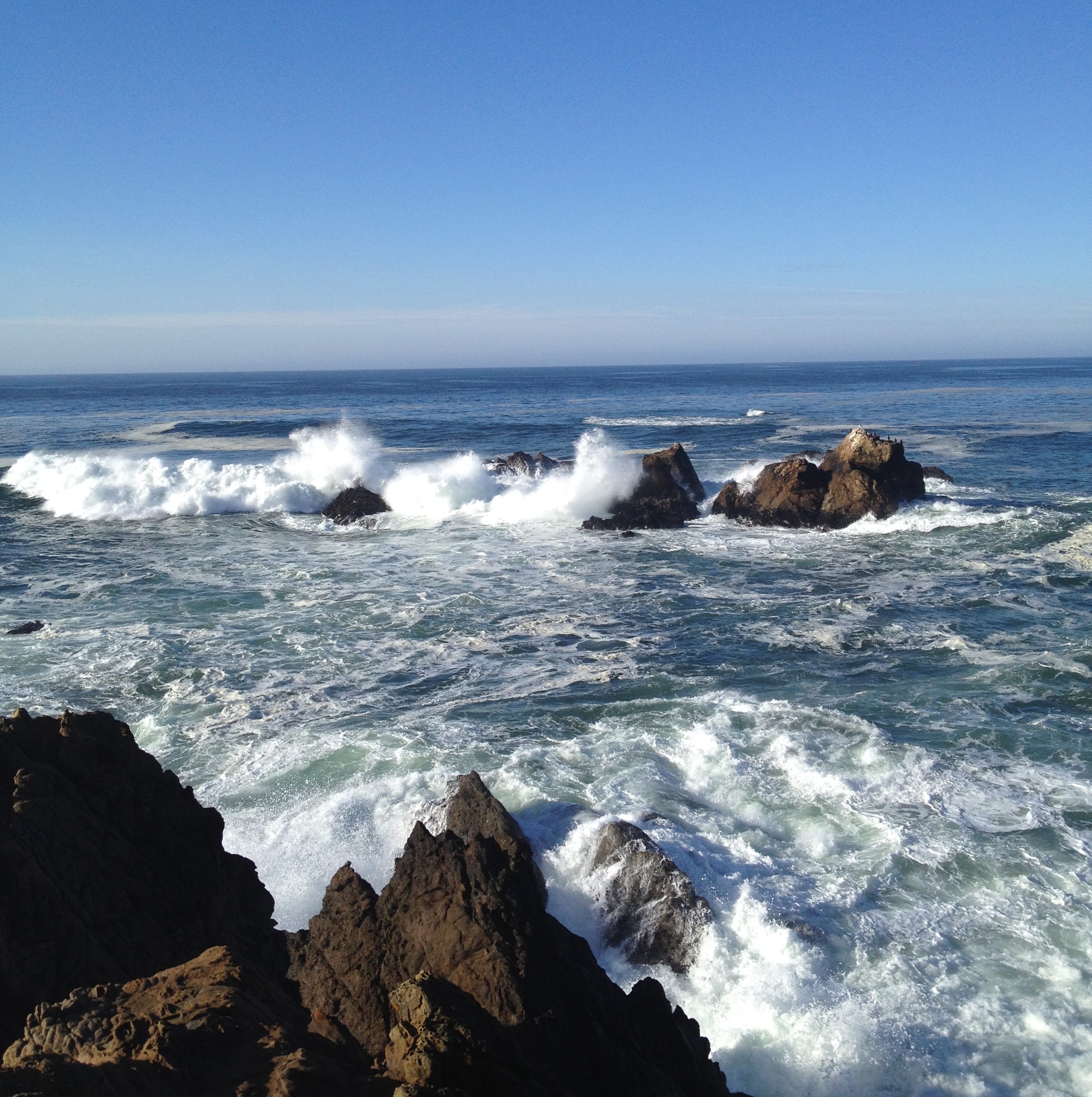 Sonoma Coast