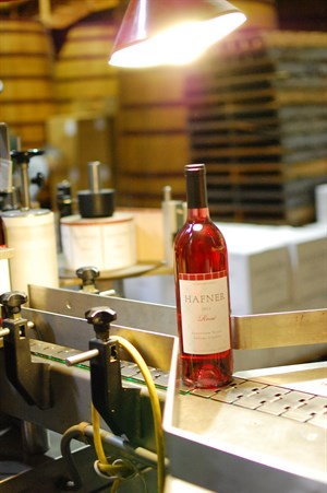 The Hafner 2014 Rosé is filled, bottled & labeled. It will be released in April 2015.