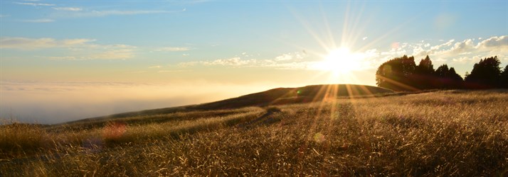 Jenner Headlands