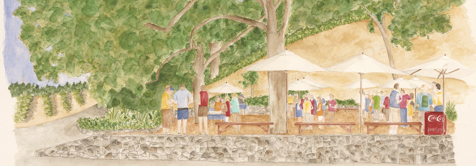 Barrel Tasting Watercolor