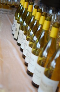 Hafner Vineyard Reserve Chardonnay is tasted back 8 vintages to see how the wines are developing.