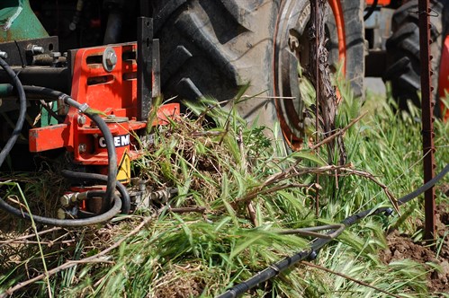 Underground cultivator (a Clemens) works at Hafner Vineyard