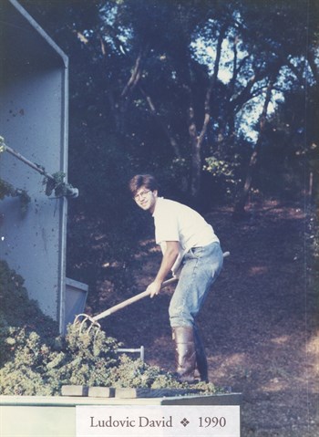 Ludovic David working at Hafner Vineyard in 1990