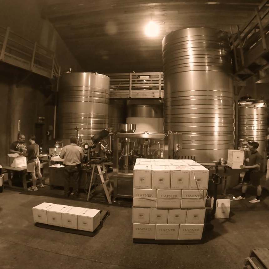 Bottling Chardonnay Video