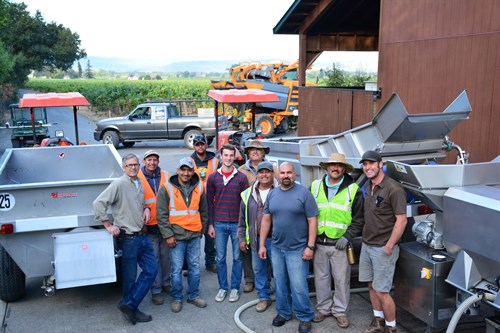 Hafner Vineyard Harvest Crew